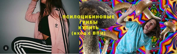 ALPHA-PVP Нягань