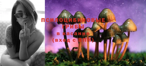 меф Нязепетровск
