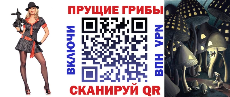 Псилоцибиновые грибы Psilocybe Скопин