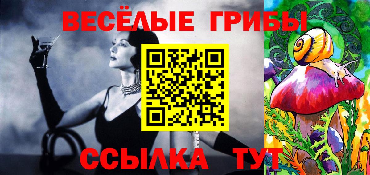 Скопин  Псилоцибиновые грибы прущие грибы  Вход с VPN  Галлюциногенные грибы ЛСД 