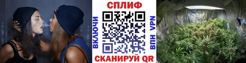 площадка Telegram  Скопин  МАРИХУАНА ГИДРОПОН 